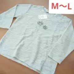 Item thumbnail for item 6a37d94f-d37f-4e5f-b8f6-582682745bcd