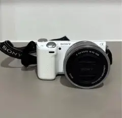 Item thumbnail for item ddaf4217-38c0-4c5d-9908-459955629d0a