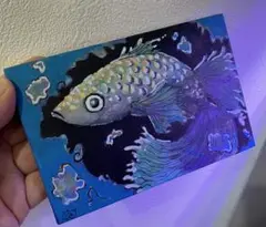 イラスト　めだか　キャンバス152mm×102mm 『深淵をノゾク　No.1』