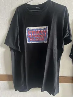 STUSSY Tシャツ