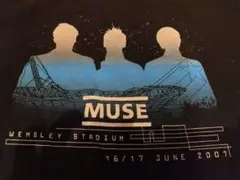 Item thumbnail for item 47fcdc49-a940-4981-bef7-cc18f58b560a