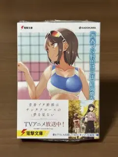 【即購入可】青春ブタ野郎はビーチクイーンの夢を見ない＋ 特典あり