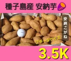 農家直送、安納芋種子島産、甘くてしっとり~さつまいも完熟