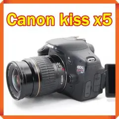 Item thumbnail for item 68914797-1b73-4c95-87a8-6ce08546502c