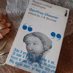 D400 ヴィンテージ 洋書 焼けてます ジャンクジャーナル コラージュ 雑記帳