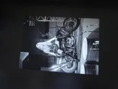A4 額付き ポスター ブリジットバルドー Brigitte Bardot 写真