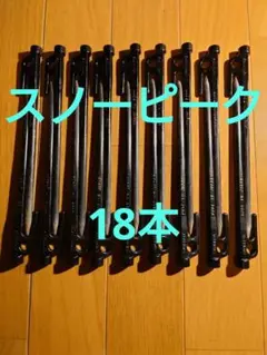 スノーピーク(snow peak) ペグ 18本 ソリッドステーク20