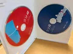 ウソ婚 BluRay ブルーレイ