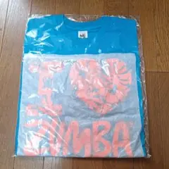 ZUMBAウエア　3枚T