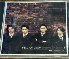 FIELD OF VIEW I