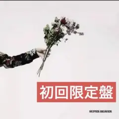 SUPER BEAVER アイラヴユー 初回限定CD+DVD ビーバー