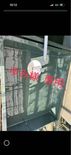 2025年最新】frp らんちゅうの人気アイテム - メルカリ