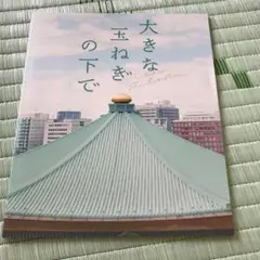 映画 大きな玉ねぎの下で 劇場販売パンフレット