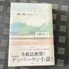 一瞬の風になれ 第三部ドン　佐藤多佳子　本