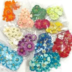 【送料込】クラフトパンチ フラワー 花 カラフル パーツ アルバム作りに♡