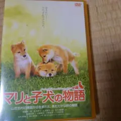 マリと子犬の物語 スタンダード・エディション('07「マリと子犬の物語」製作委…