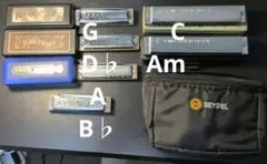 Item thumbnail for item 39c402c6-50cc-4185-825d-3a21ecbf7f87