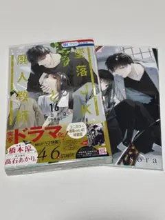 墜落JKと廃人教師 16巻 特装版 ミニ画集付き