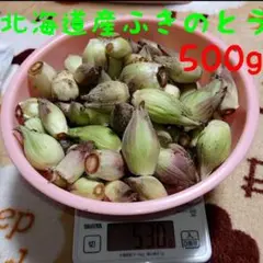 ふきのとう 500g