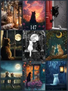 パネル生地　１４７（先着７枚）
