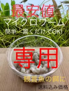 暗所に置けばOK ! マイクロワーム ADA ヒカリ キョーリン テトラ