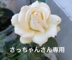 サーモス 水筒 カバー 車 電車 キッズ