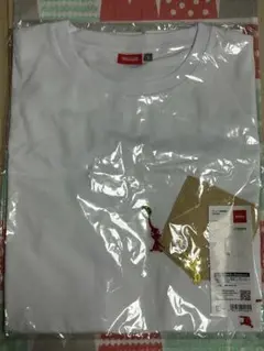 任天堂　ピクミン 刺繍Tシャツ Lサイズ お宝回収