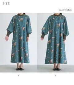 Item thumbnail for item b68e1cf7-1574-4fd2-805a-870921ceff73