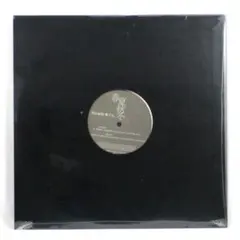 新品　Steady & Co.　春夏秋冬／Fall Time Flow／風まかせ