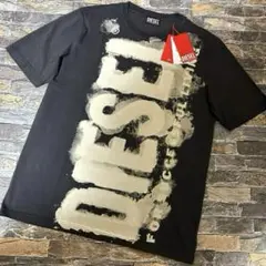 【新品】DIESEL ディーゼル／ペイントロゴTシャツ カットソー M