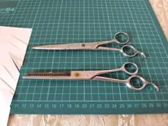 Item thumbnail for item 1907d474-d45d-4827-961f-2cd6ee61b4a1