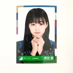 原田葵 東京ドーム サイマジョマント サイレントマジョリティー 生写真 ヨリ