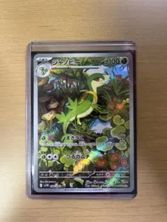 ブラックボルト　ジャノビー　AR