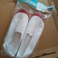 Achilles 上履き バレージュース
