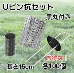 Item thumbnail for item 102b3ad7-1ff0-4bde-bb3d-824df56022e3