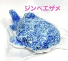 (未使用･未開封品)　沖縄美ら海水族館 ペタンコジンベエザメ M ぬいぐるみ 51579B 0pbj0lf Amazon.co.jp: 沖縄美ら海水族館 ペタンコジンベエザメ M