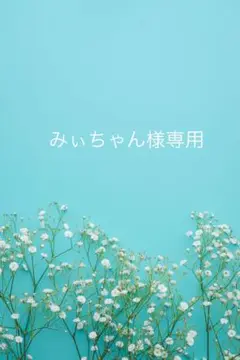 専用