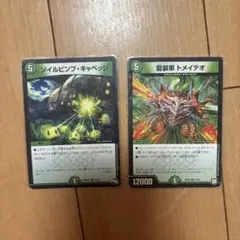 デュエルマスターズ カードセット 2枚 専用スリーブ入り