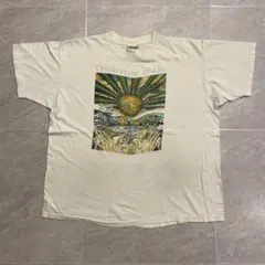 90s シングルステッチ USA製 人生の祝祭 キリスト アート Tシャツ