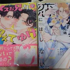 商業 BL 新刊 含 組み換え可能　メスお兄さんを超えてゆけ