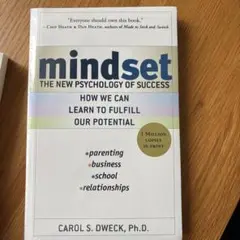 Mindset