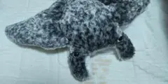 エイのぬいぐるみ