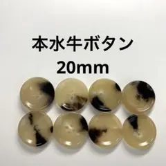 Item thumbnail for item c678205d-2e10-43ea-9f19-19a1d30f5f4c