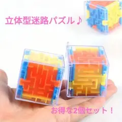 立体迷路パズル！お得な2個セット！知育玩具