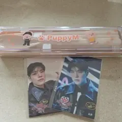 PuppyM STRAY KIDS カトラリー SeungMin カード2枚