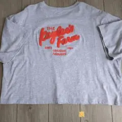 Right-on　ショート丈Tシャツ Lサイズ 　美品