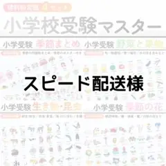 スピード配送様