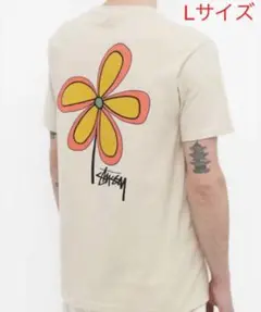 ストューシー(stussy)半袖