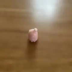 サンリオプレミアム　おまけ　タキシードサム