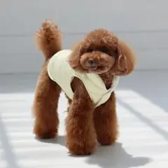 Item thumbnail for item bb44307e-049d-4172-8163-c8c69d522394